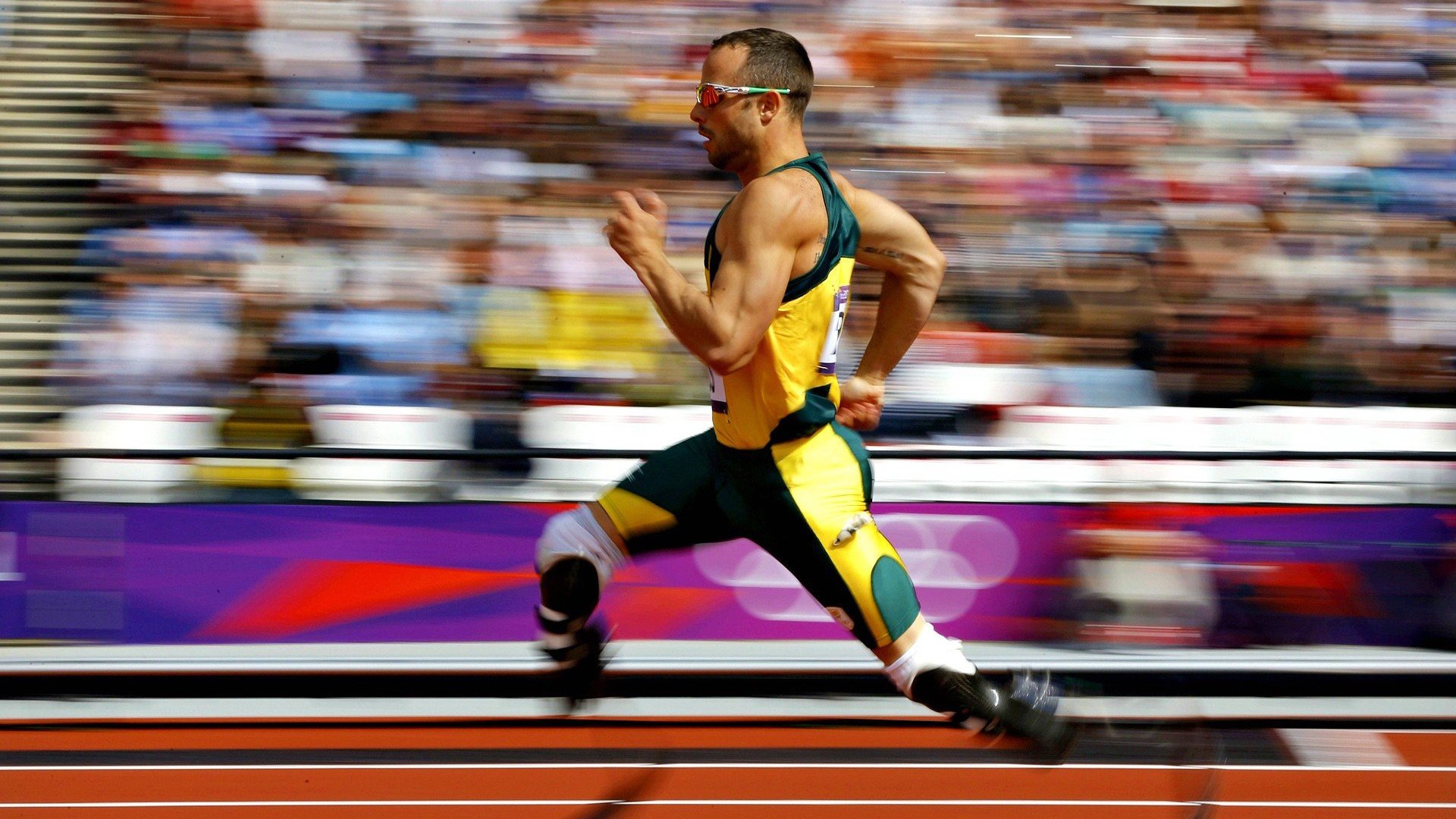 中国篮球的未来由热爱定义,中国篮球的未来发展走向